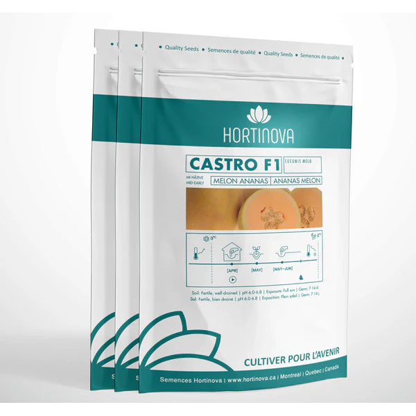 CASTRO F1 (melon Ananas)