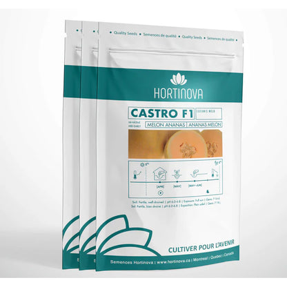 CASTRO F1 (melon Ananas)
