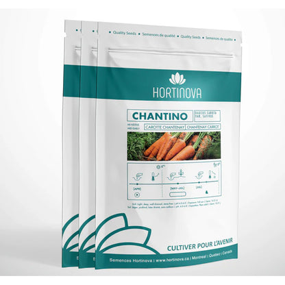 CHANTINO - Graines de carotte Chantenay à pollinisation libre