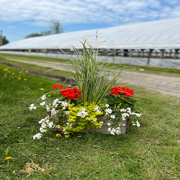 Composition florale moelleuse Emarville