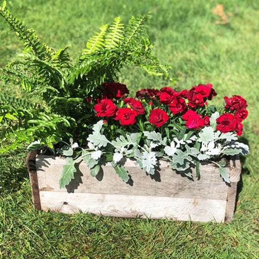 Perfection de l'arrangement d'Emarville