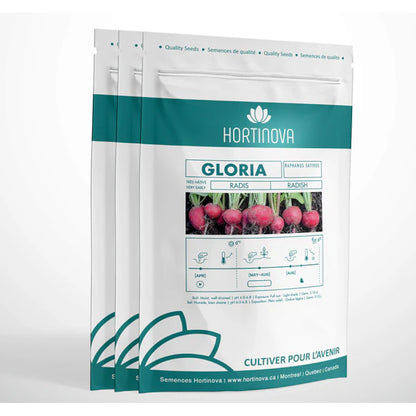 GLORIA - Graines de radis à pollinisation libre