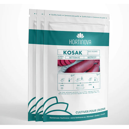 KOSAK - Graines de betterave rouge à pollinisation libre