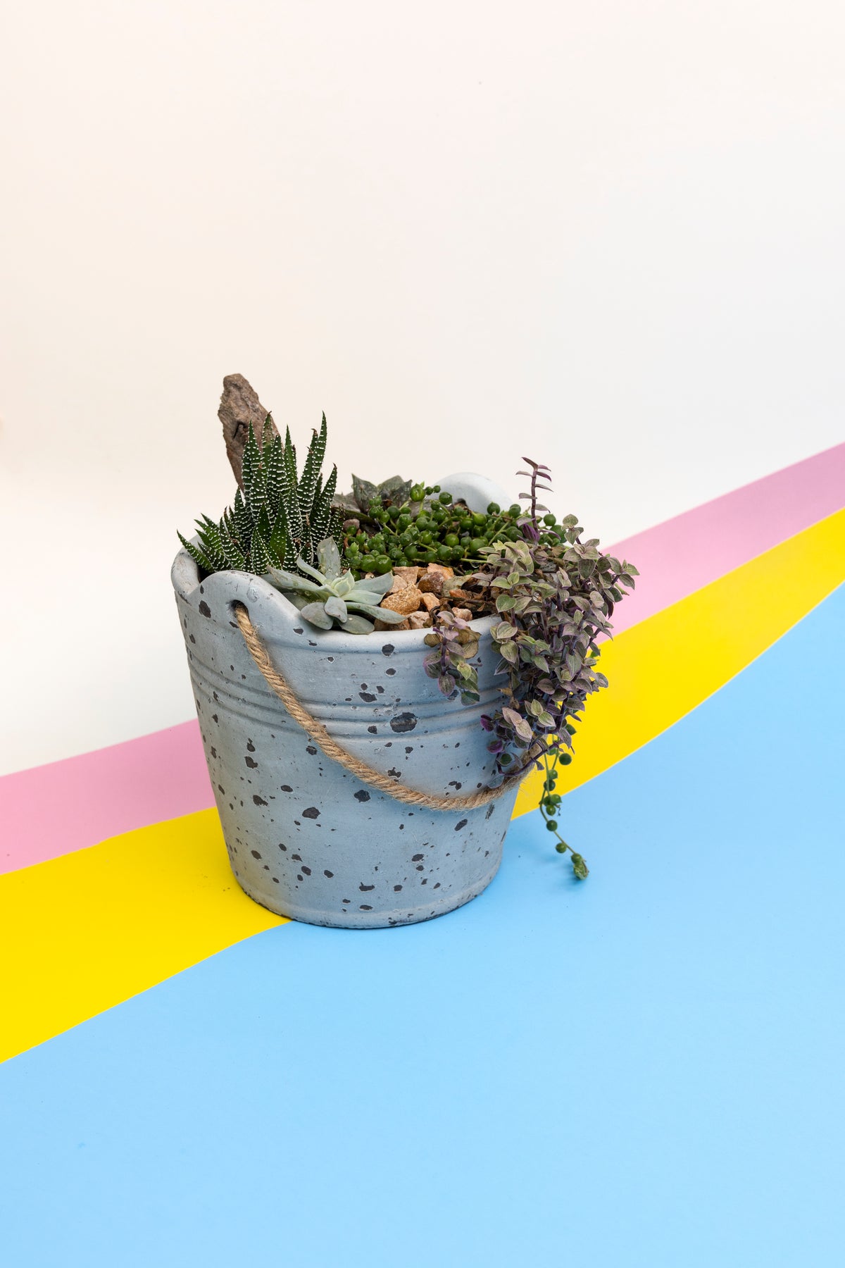 Succulent Arrangement - 7