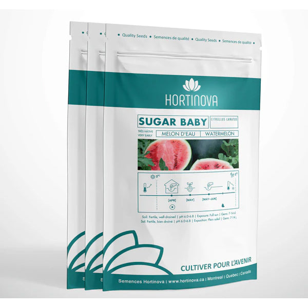 SUGAR BABY - Graines de pastèque à pollinisation libre