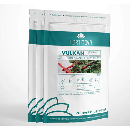 VULKAN - Graines de Bette à Carde à Pollinisation Libre
