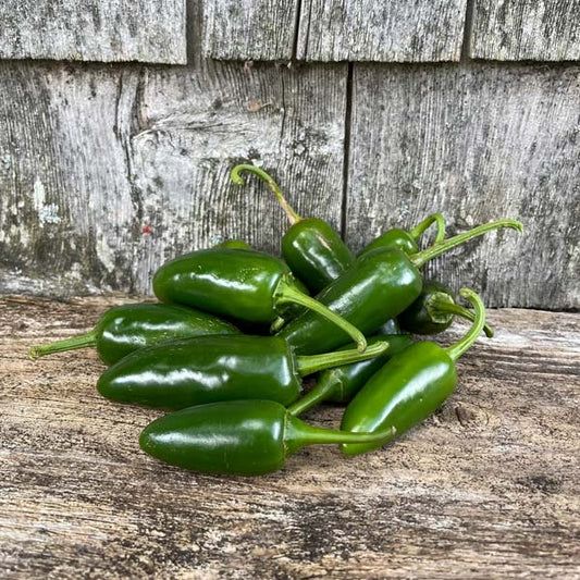 Piment fort jalapeño vert précoce non