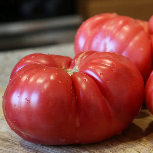 Tomato Hyb Pink Delicious