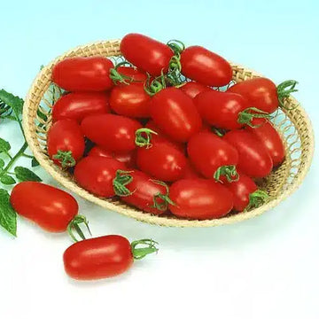 Boîte en polystyrène